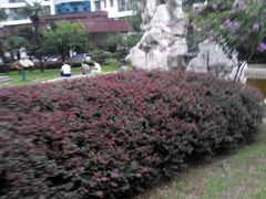 android_upload_pic-江南大学附属医院(北院区)