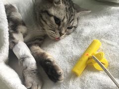 -纳吉亚猫专科动物医院博雅分院