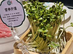 -阳坊胜利涮羊肉(阳坊总店)