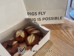 -WHEN PIGS FLY当猪飞