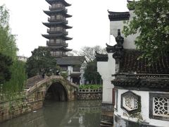 -嘉定紫藤园
