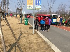 -上海长兴岛郊野公园