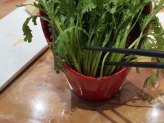 -清真军邺·金富苑肥牛(石坡街旗舰店)