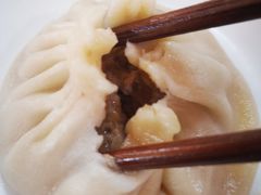 大肉灌汤包-东京包子楼(政七街店)