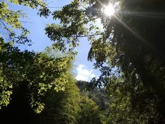 -藏龙百瀑风景区