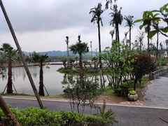 -枫香湖儿童公园