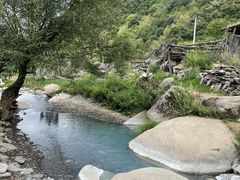 -狮子沟牧场