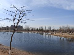 -乌素图国家森林公园