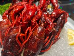 -洪福龙虾