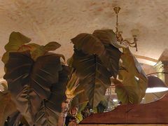 -凯撒城堡西餐厅(颐和国际店)