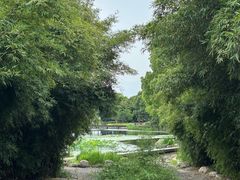 -蠡湖大桥公园