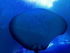 -珠海长隆海洋王国