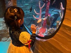 -沈阳海洋探索中心