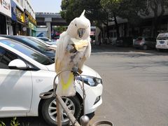 -卤儿道道(经纬店)