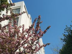-南京航空航天大学(明故宫校区)