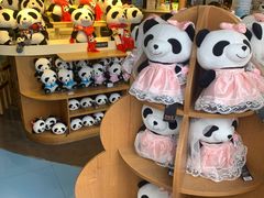 -熊猫屋(宽窄巷子景区店)