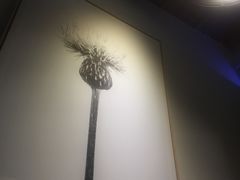 -旅马餐厅(茅家埠店)