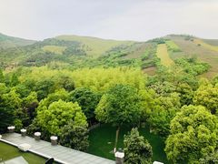 -天目湖御水温泉·度假酒店