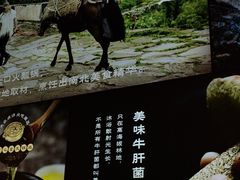 -云海肴·汽锅鸡·云南菜(苏州中心店)