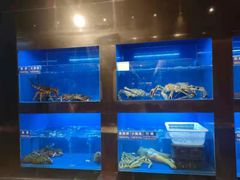 水产区-金时代顺风大酒店(临港百联店)