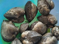 -东方国际水产中心