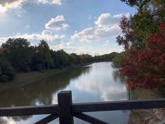 -上海海湾国家森林公园