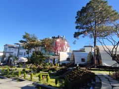 -云禾壹海景庄园餐厅