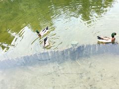 -映月湖公园