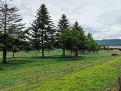 -轻井泽王子购物广场