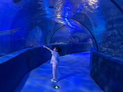 -梦幻海洋王国(吾悦广场张家港店)