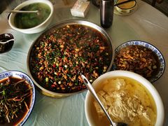 -铁山坪森林公园