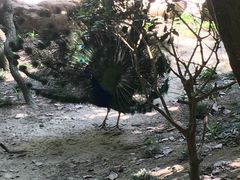 -星巴克臻选(莘庄仲盛店)