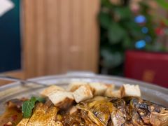 野生南湾鱼一鱼两吃-解家河南菜(商鼎路店)