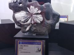 -中国地质大学逸夫博物馆