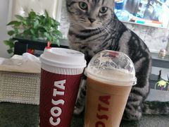 -COSTA COFFEE(中粮祥云店)