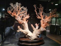 -台北故宫博物院