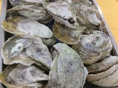 -蚝专家(北滘店)
