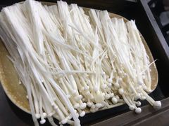 -顺德哥卜卜贝(旗舰店)
