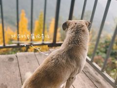 -凤栖山