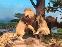 -国家自然博物馆