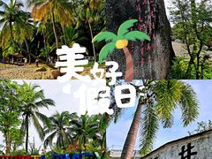-亚龙湾热带天堂森林公园