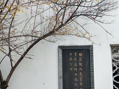 -八大山人梅湖景区