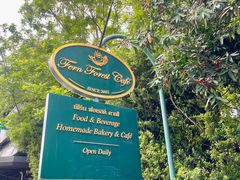 -Fern Forest Cafe