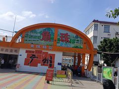 -长洲岛