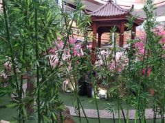 -杉杉奥特莱斯广场(哈尔滨店)