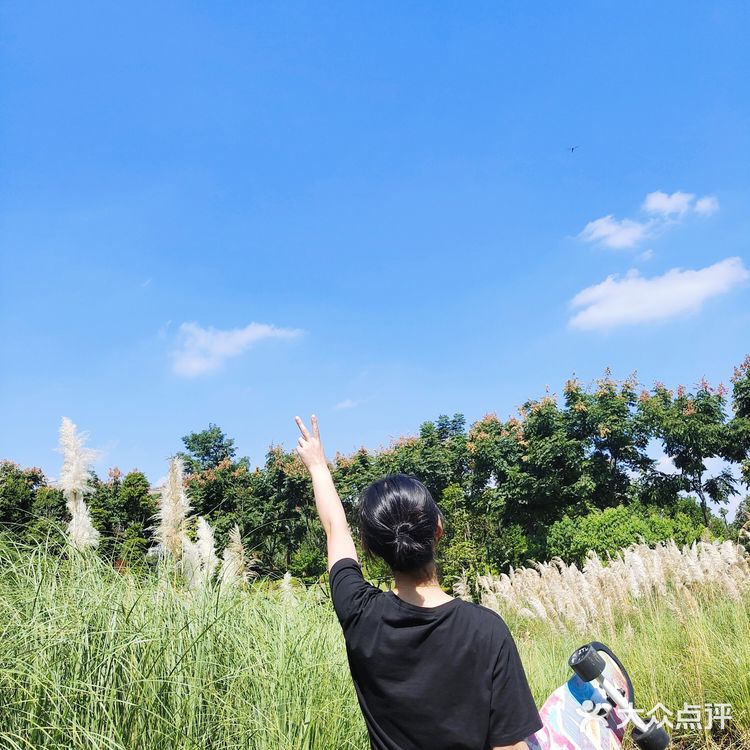 【成都玩乐】芦苇地疯狂自拍的滑板少女
