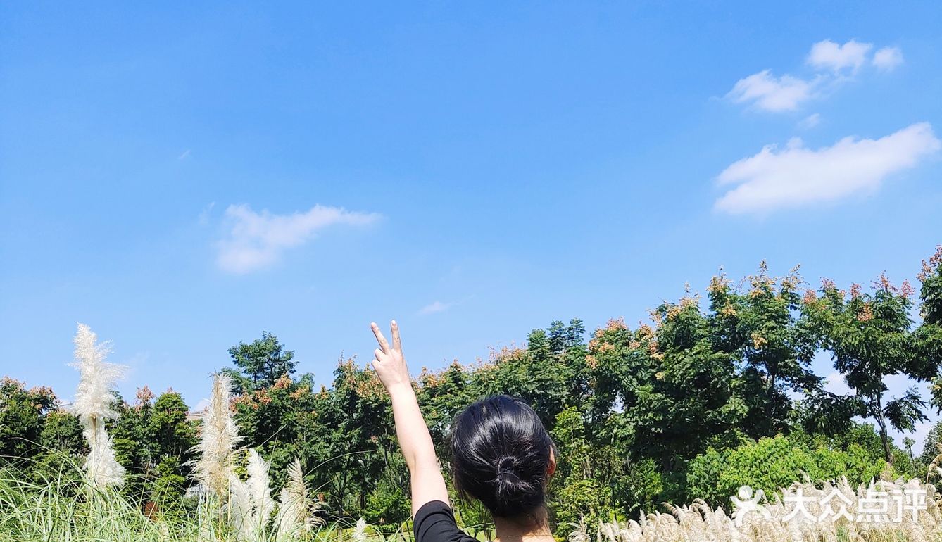 【成都玩乐】芦苇地疯狂自拍的滑板少女