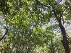 -烈士陵园(地铁站)