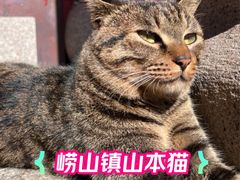 -青岛崂山太清宫
