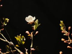 -河南省黄河迎宾馆